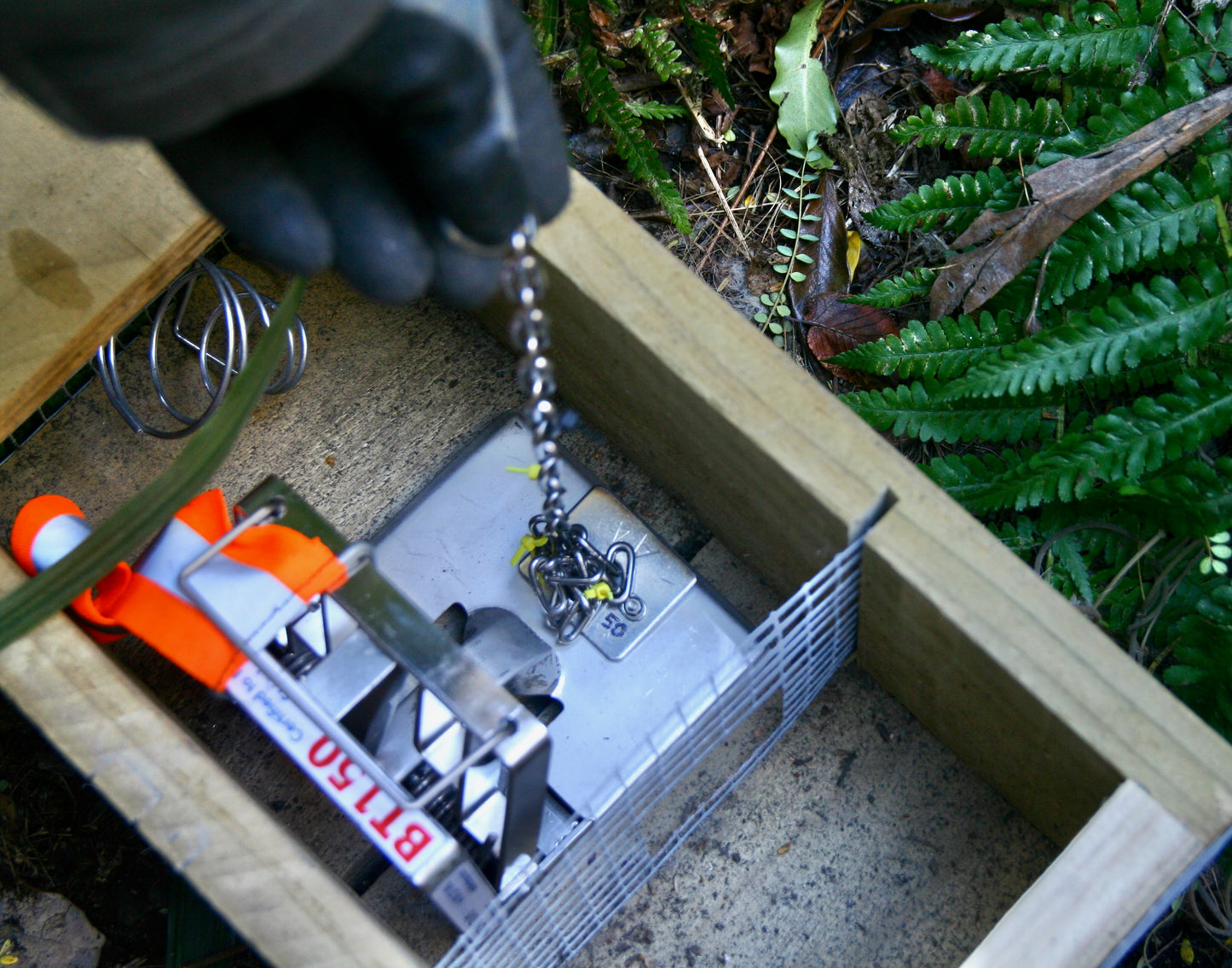 Calibration Weights