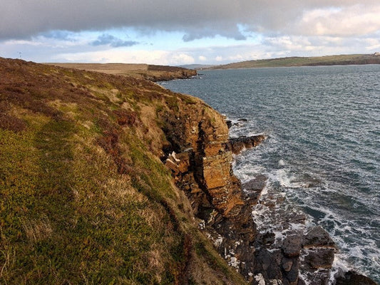 NestGards on the Orkney Islands