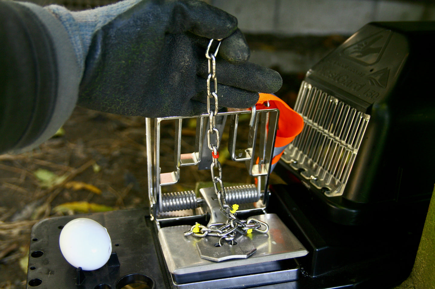 Calibration Weights