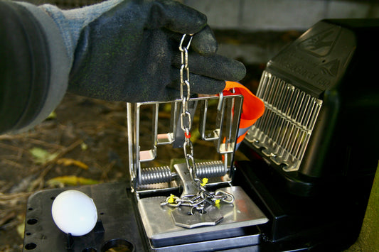 Calibration Weights